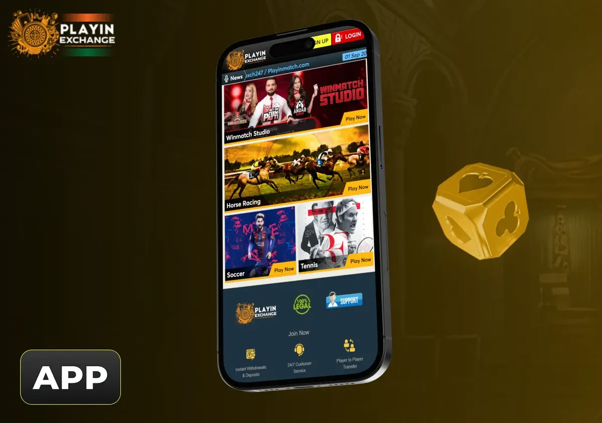 Playinexch APK interface illustration Playinexch APK interface illustration