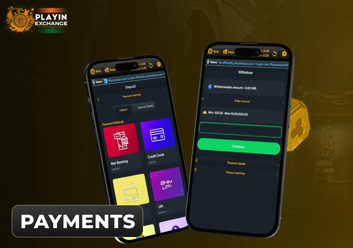 Playinexch भुगतान इंटरफ़ेस